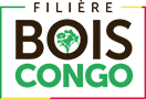 Filière Bois Congo