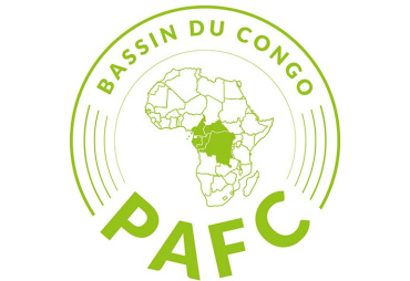 Un grand pas en avant pour le schéma de certification PAFC en République du Congo : IFO est désormais certifiée PAFC Bassin du Congo ! 