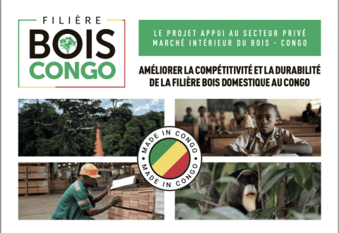 L’ATIBT lance le Projet « Appui au secteur privé du marché intérieur du bois » (ASP-MIB) en République du Congo