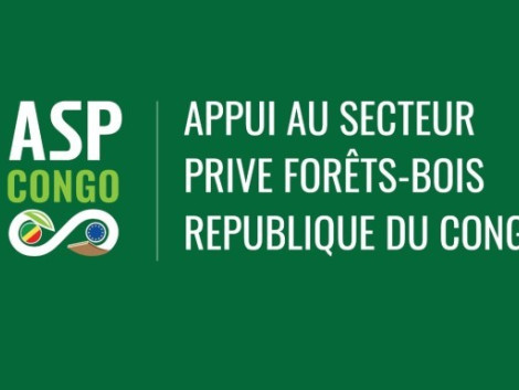 Projet ASP Congo : un webinaire sur la Certification forestière, le RDUE et la CITES : quelle démarche pour les entreprises forestières au Congo ?