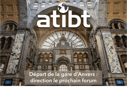 Mise a disposition du Rapport final du Forum ATIBT d’Anvers