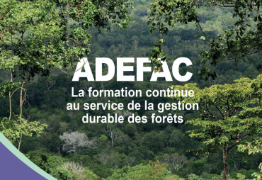 ADEFAC : La formation continue au service de la gestion durable des forêts