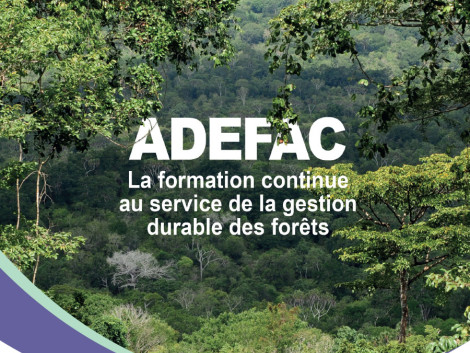 ADEFAC : La formation continue au service de la gestion durable des forêts