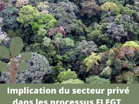 Projets FLEGT-REDD, FLEGT-IP et FLEGT-Certification