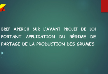 Régime de partage de production