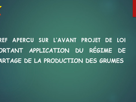 Régime de partage de production