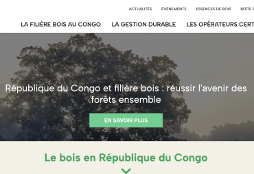 Découvrez Bois Congo : le nouveau portail internet dédié au secteur forestier de la République du Congo