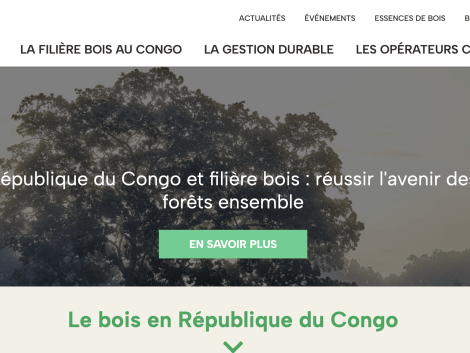 Découvrez Bois Congo : le nouveau portail internet dédié au secteur forestier de la République du Congo