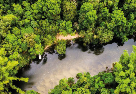 État des lieux des acteurs du secteur privé de la filière forêt-bois au Congo